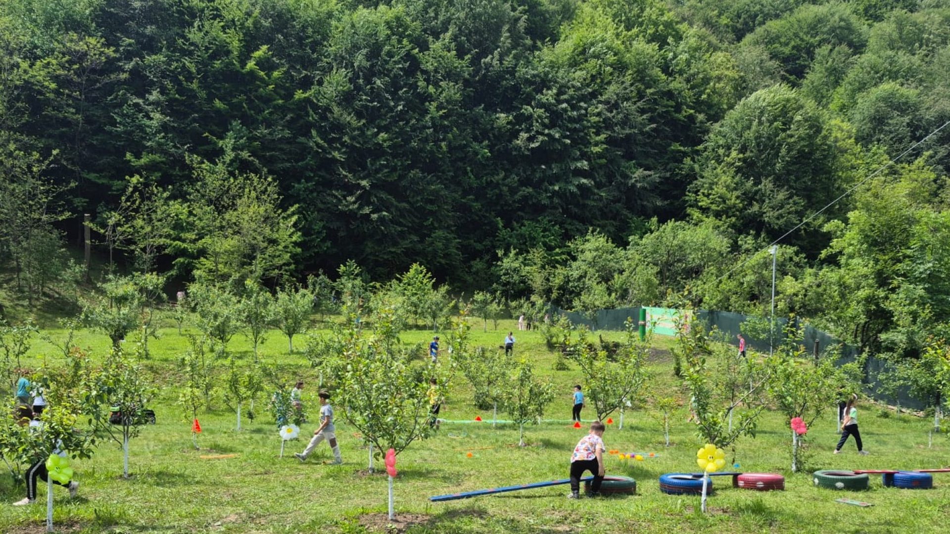 Jocuri cu prietenii Naturii